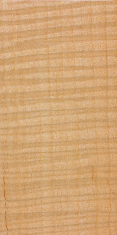 Example of Curly Maple