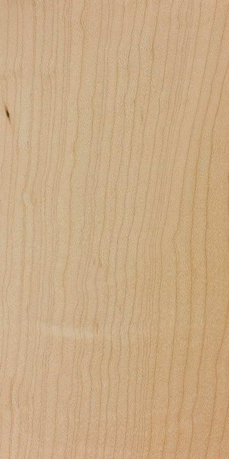 Example of Hard Maple